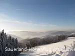 Wildewiese im Schnee